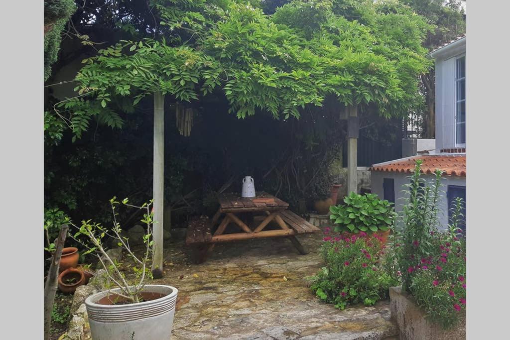 A-Do-Ze-Velho Βίλα Σεσίμπρα Εξωτερικό φωτογραφία